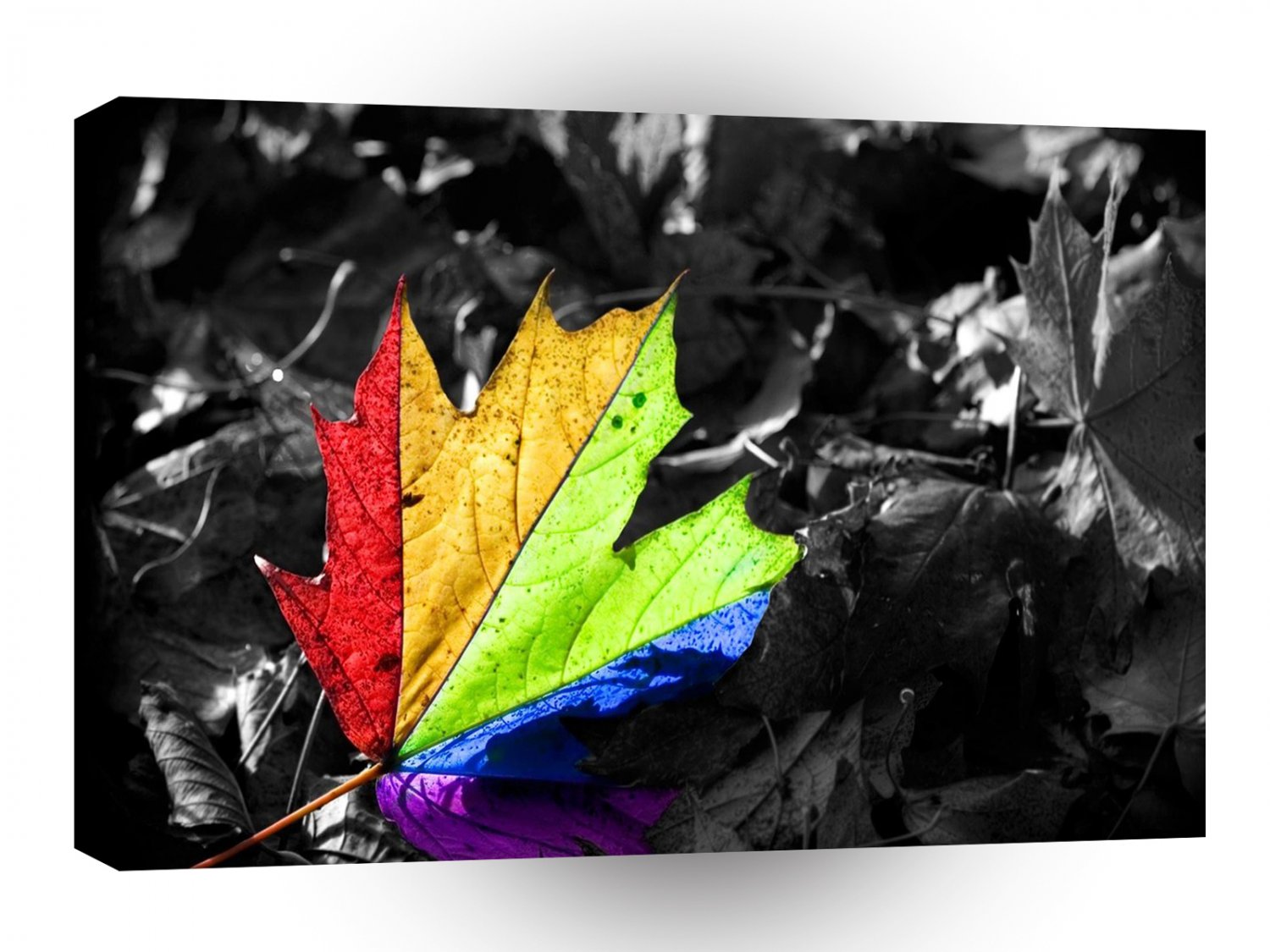 Abstract Tree Primary Leaf A1 Xlarge Canvas