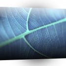 Abstract Tree Toxic Leaf A1 Xlarge Canvas
