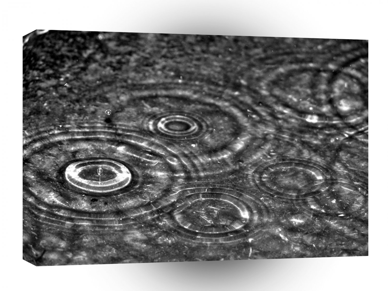 Abstract Water Rain Drop Circles A1 Xlarge Canvas