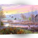 Animals Birds Ducks Haven A1 Xlarge Canvas