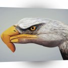 Animals Birds Hand Sculpture A1 Xlarge Canvas