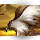 Animals Birds Landing Sun Glow A1 Xlarge Canvas