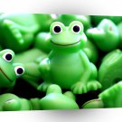 Animals Frogs Green Day A1 Xlarge Canvas