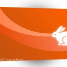 Animals Rabbits Not Tested A1 Xlarge Canvas