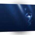 Animals Sea Creatures Jelly Fish Dark Glow A1 Xlarge Canvas