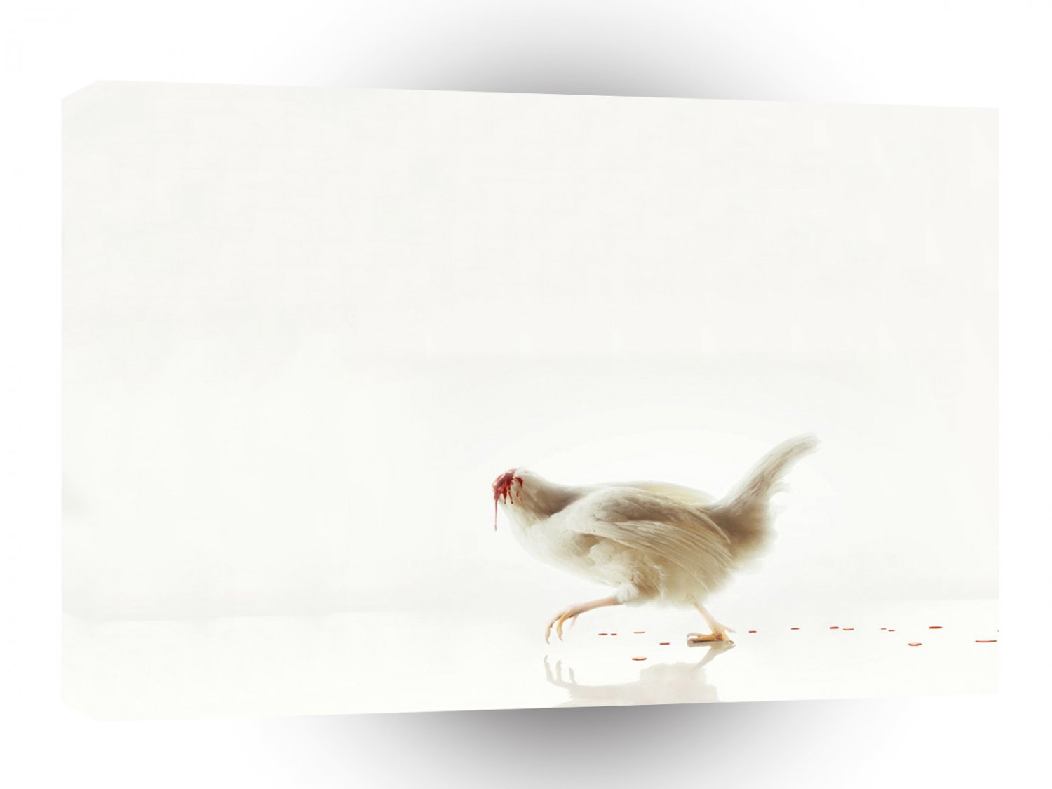 Birds Headless Chicken A1 Xlarge Canvas