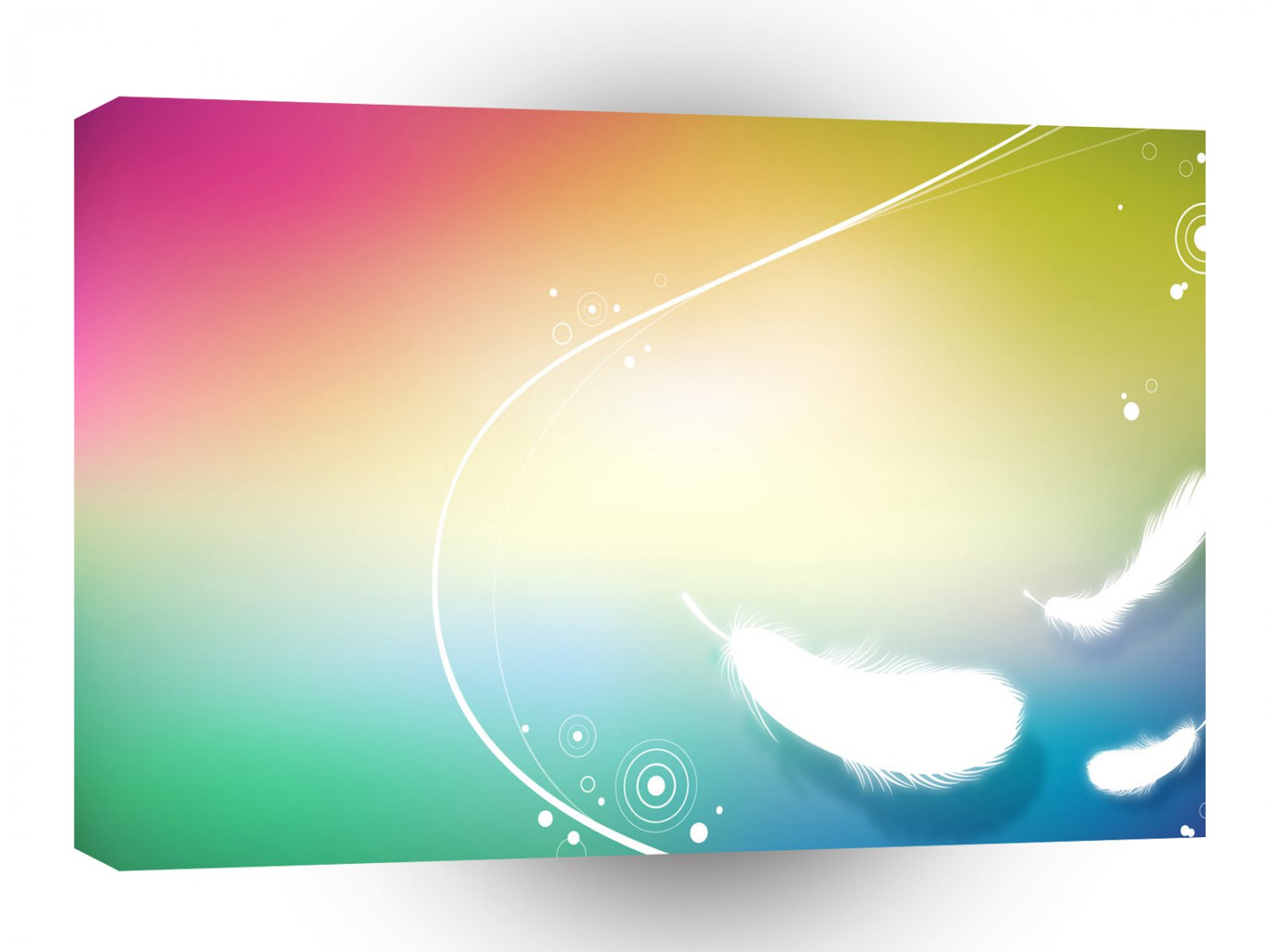 Colours Multicolour Feathers A1 Xlarge Canvas