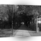 Cool Sidewalk Vertigo A1 Xlarge Canvas