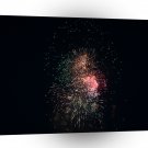 Fireworks Orange Mixture Chameleon A1 Xlarge Canvas