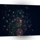 Fireworks Orange Mixture Firecrackers A1 Xlarge Canvas