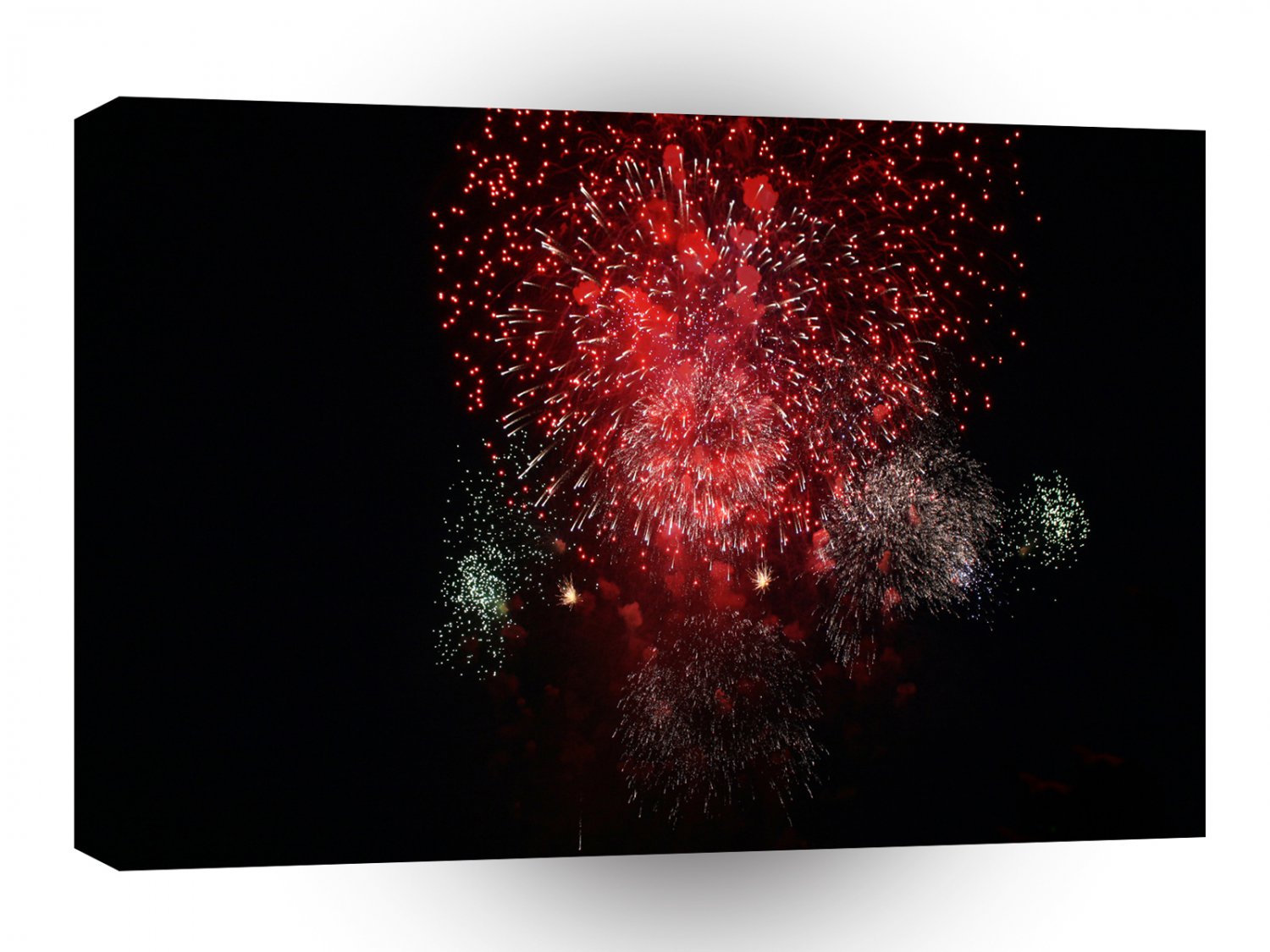 Fireworks Orange Mixture Palm Shell A1 Xlarge Canvas