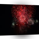 Fireworks Orange Mixture Palm Shell A1 Xlarge Canvas