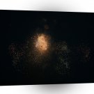 Fireworks Orange Mixture Peach Blossom A1 Xlarge Canvas