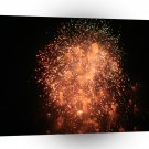 Fireworks Single Spider Burst A1 Xlarge Canvas