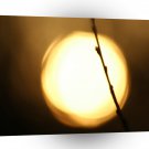 Landscape Sunset Mystic Glow A1 Xlarge Canvas