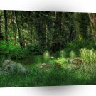 Landscape Trees Deep Forest A1 Xlarge Canvas