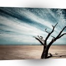 Landscape Trees One Of A Kind A1 Xlarge Canvas