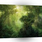 Landscape Trees Out Of The Dark A1 Xlarge Canvas