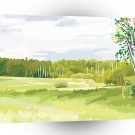 Scenery Birch Woods Green Land A1 Xlarge Canvas
