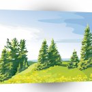 Scenery Buttercups Grow Beside Firs A1 Xlarge Canvas