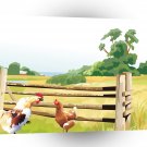 Scenery Cockrel Approaches Hen Farmland A1 Xlarge Canvas