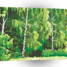 Scenery Edge Of Woodland Birches A1 Xlarge Canvas
