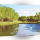 Scenery Swan Lake Reflection A1 Xlarge Canvas