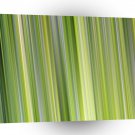 Strips Gradient Effects Grass A1 Xlarge Canvas