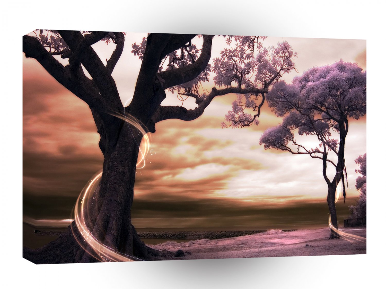 Tree Sunset Afterglow A1 Xlarge Canvas