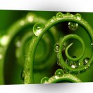 Water Drops And Curls A1 Xlarge Canvas