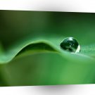 Water Drops Green Spectrum A1 Xlarge Canvas