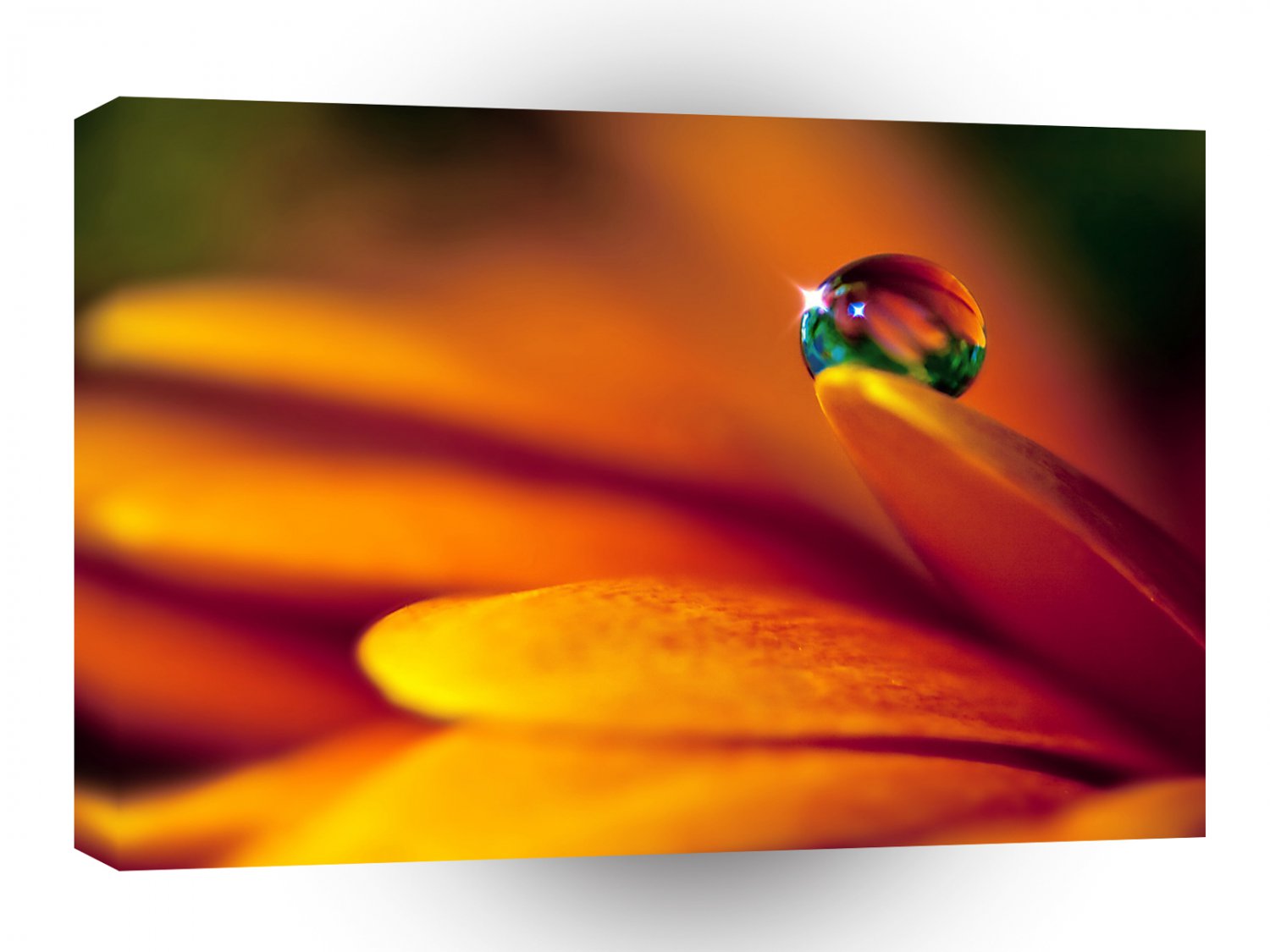 Water Drops Perfectness A1 Xlarge Canvas