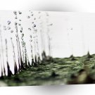 Water Drops Vibrations A1 Xlarge Canvas