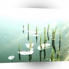Water Lake Sign Of Spring A1 Xlarge Canvas