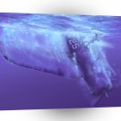 Water Sea Blue Warplane A1 Xlarge Canvas