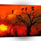Africa Botswana Sunset A1 Xlarge Canvas