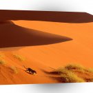 Africa Crossing The Dunes Of Sossusvlei Park Namibia A1 Xlarge Canvas