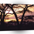 Africa Daybreak Tanzania A1 Xlarge Canvas