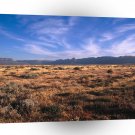 Africa Karoopark South A1 Xlarge Canvas