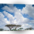 Africa Masai Mara Game Reserve Kenya A1 Xlarge Canvas