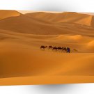 Africa Sahara Desert Morocco A1 Xlarge Canvas