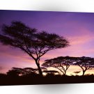 Africa Sunset Colors Tanzania A1 Xlarge Canvas