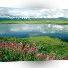 Alaska Alaska Range A1 Xlarge Canvas