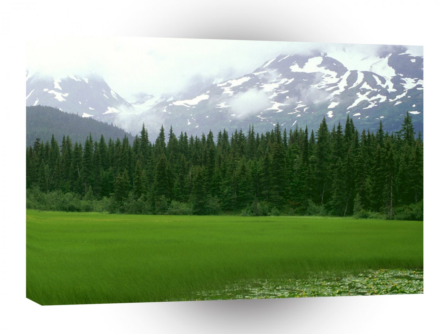 Alaska Greener Pastures Moose Pass A1 Xlarge Canvas