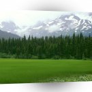 Alaska Greener Pastures Moose Pass A1 Xlarge Canvas