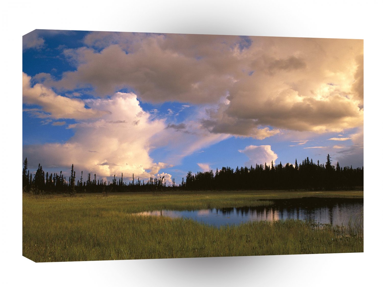 Alaska Kettle Pond Interior A1 Xlarge Canvas