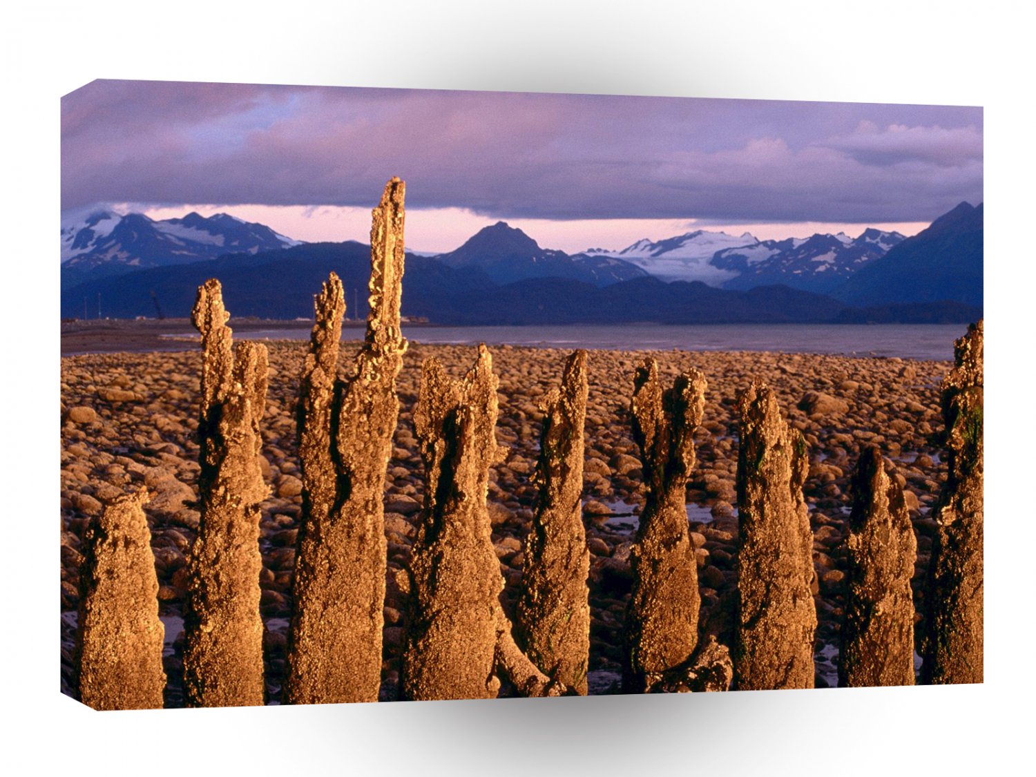 Alaska Low Tide Homer A1 Xlarge Canvas