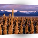 Alaska Low Tide Homer A1 Xlarge Canvas
