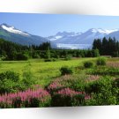 Alaska Mendenhall Glacier A1 Xlarge Canvas