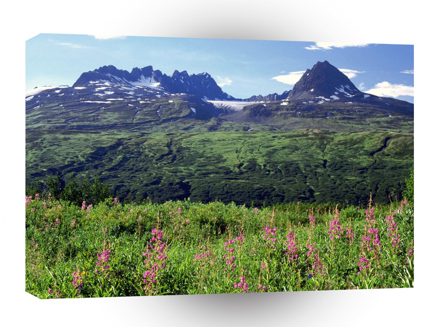 Alaska Thompson Pass Chugach Range A1 Xlarge Canvas